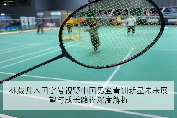 樊振东复出首败背后相持波动与正手抢攻效率提升路径解析